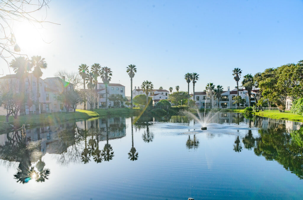 Anina La Vida Photography