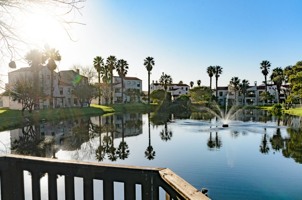 Anina La Vida Photography