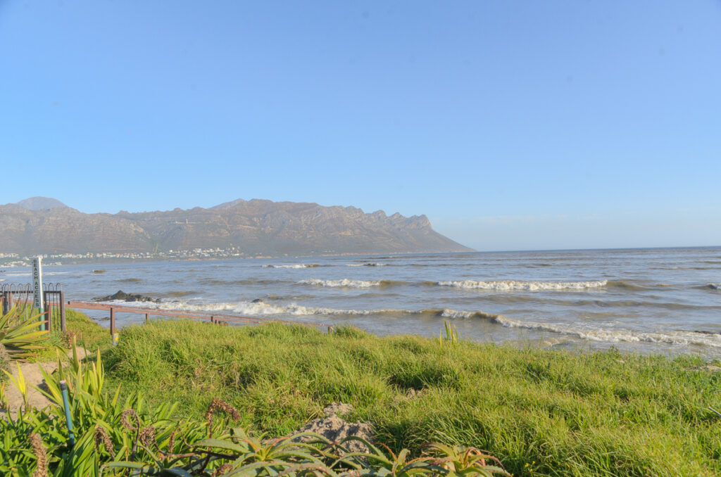 Anina La Vida Photography